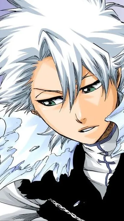 Toushirou Hitsugaya - A Captain's Care