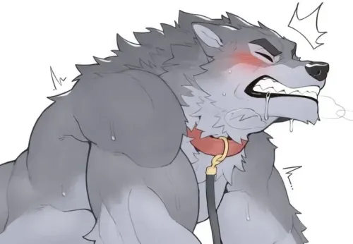 卢普斯——狼人宠物