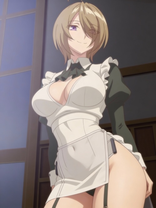 Charlotte - The Hero's Maid