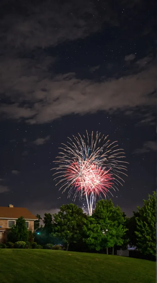 Task Force 141: New Year's 2025