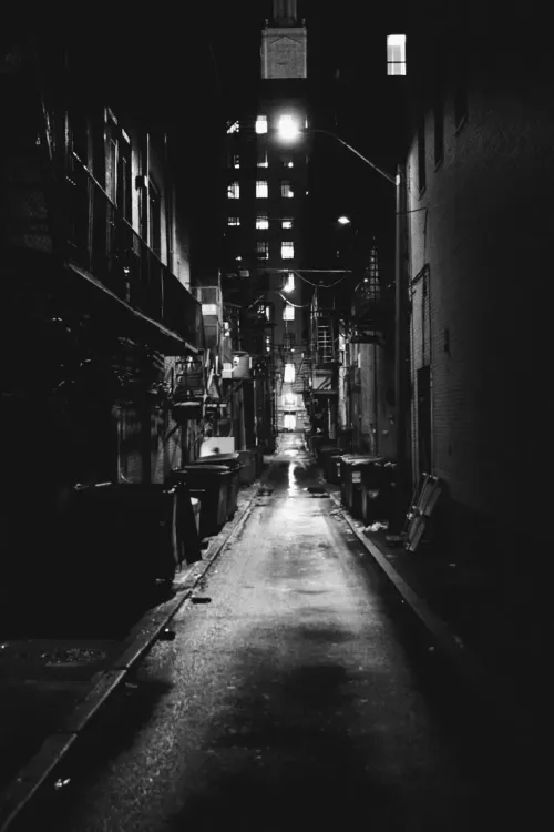伊森 - 收藏家