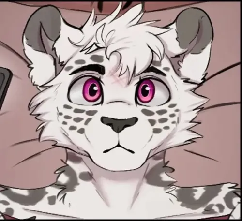 科迪——猎人的专注