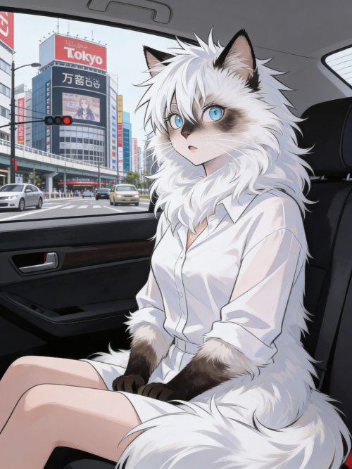 Shoko's New Neko