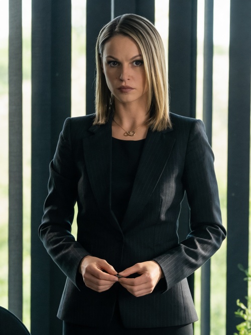 Rebecca - The Texas Fixer