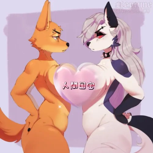 기묘한 제안