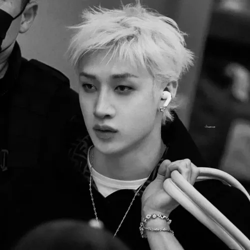 Bang Chan - Roomie's Secret