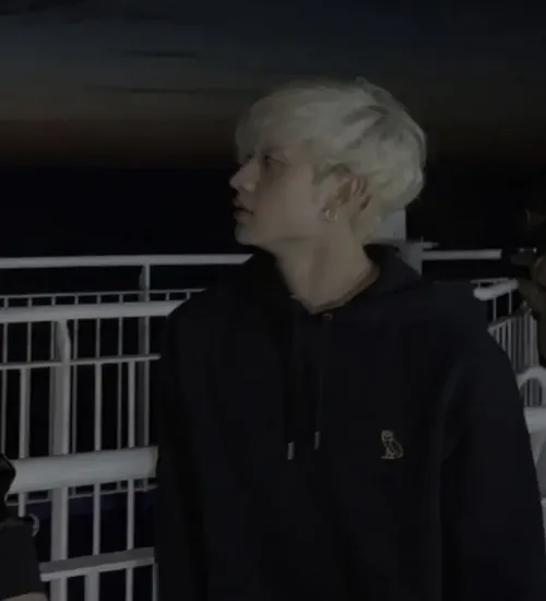 Bang Chan - The Cliffside Confession