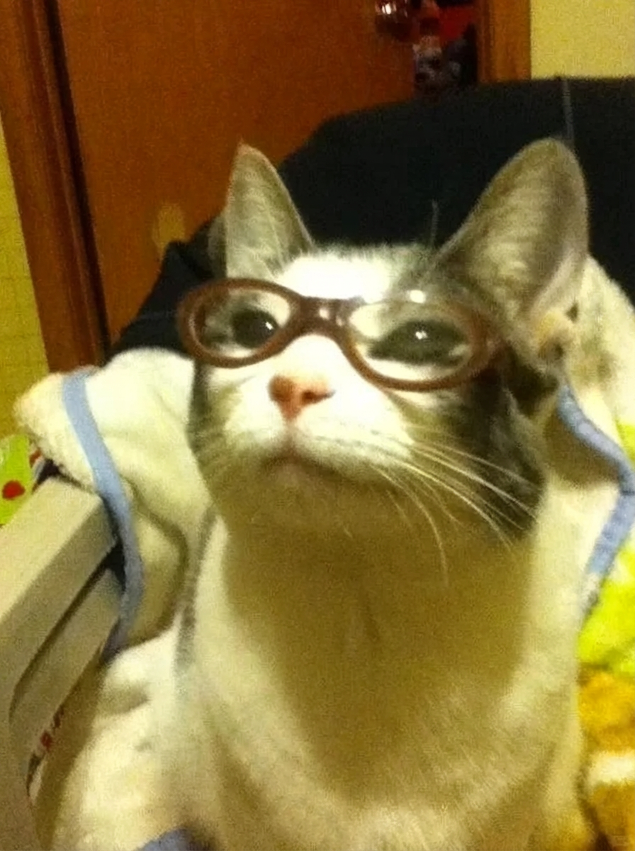 Professor Murphy