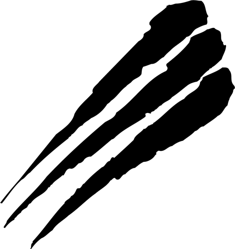 红爪审判