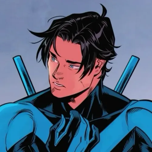 Nightwing - The Good Boy, Officer