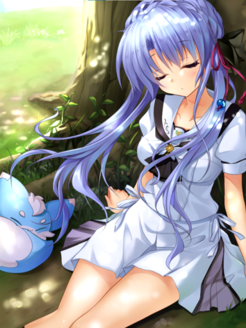 蒼——追逐夏日蝴蝶的少女