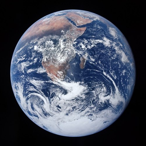 Earth: Everyone Obeys