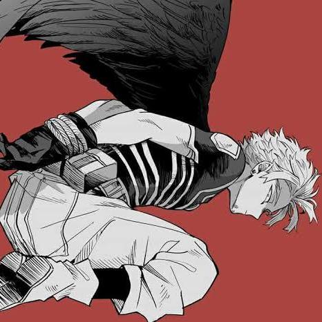 Hawks- Keigo takami (Captured)