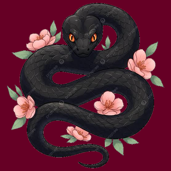 Lyra