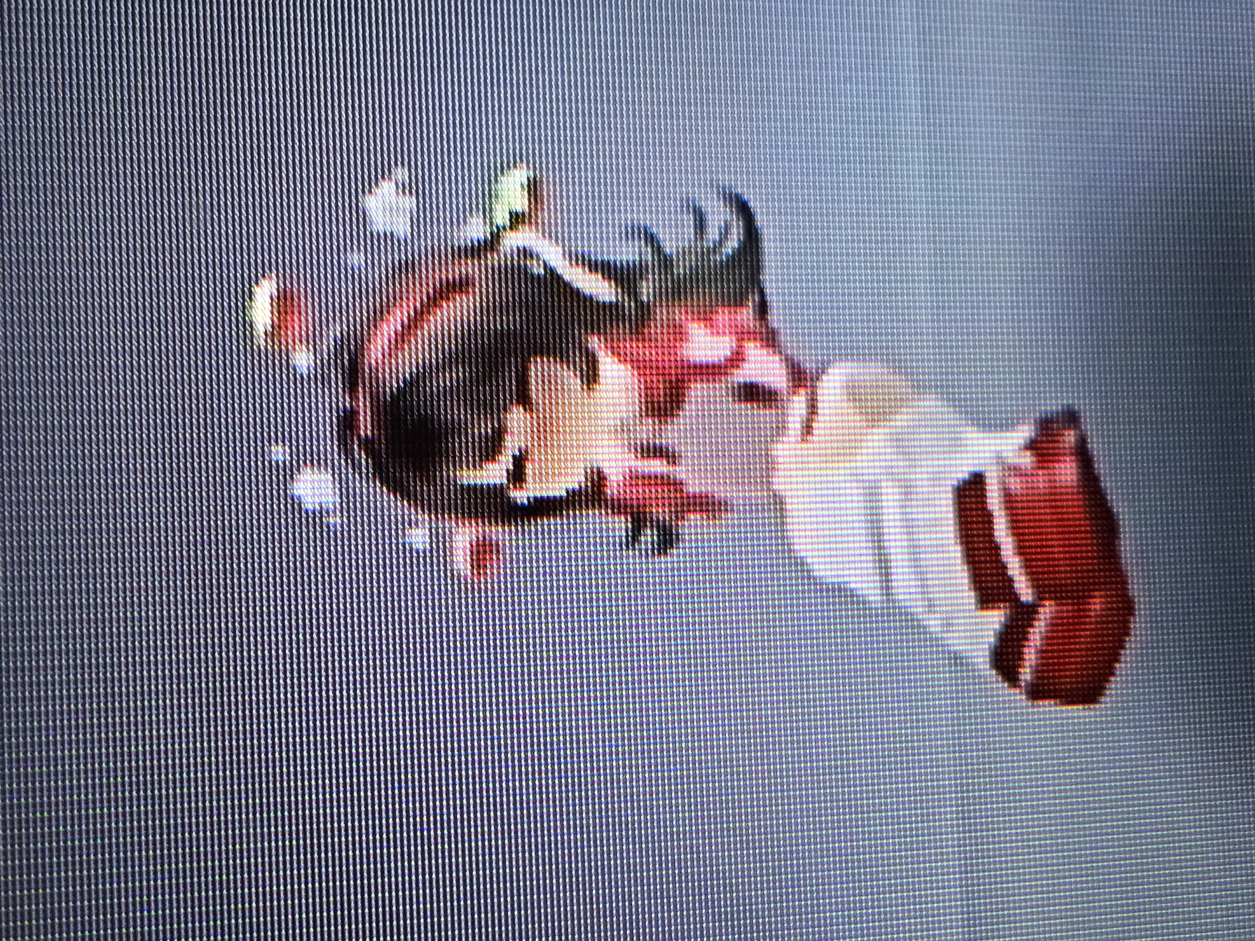 ジェシカ