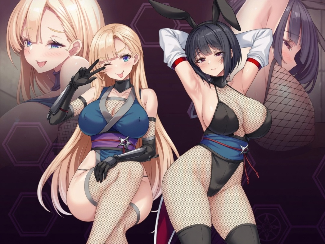 Kasumi & Tsubaki - Undercover Ninjas