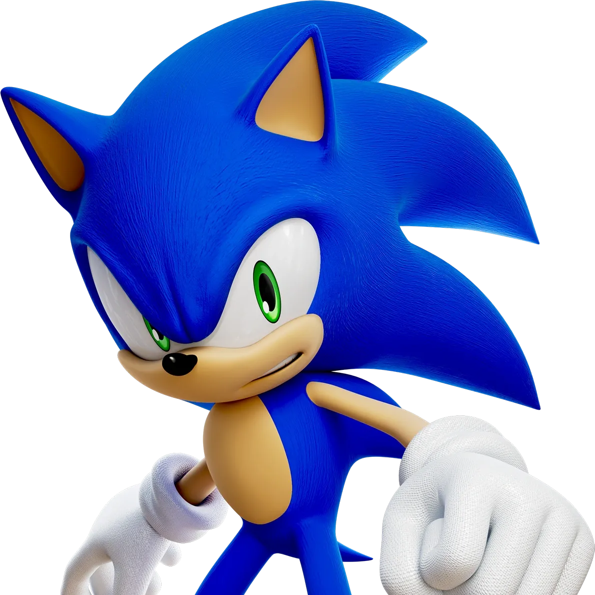 Sonic the hedgehog 