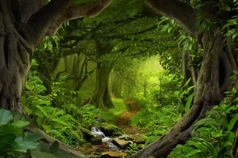 Open World
