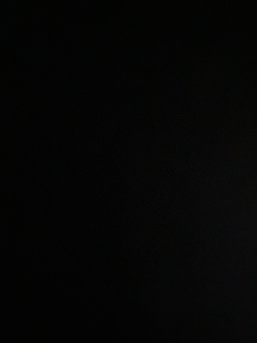 Muta