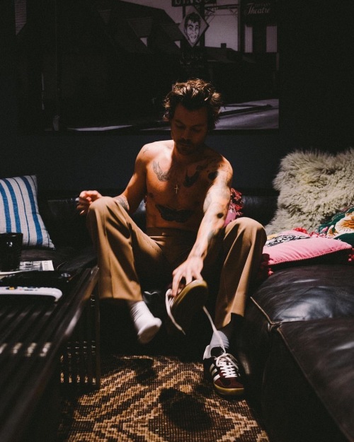 Harry Styles - 2020