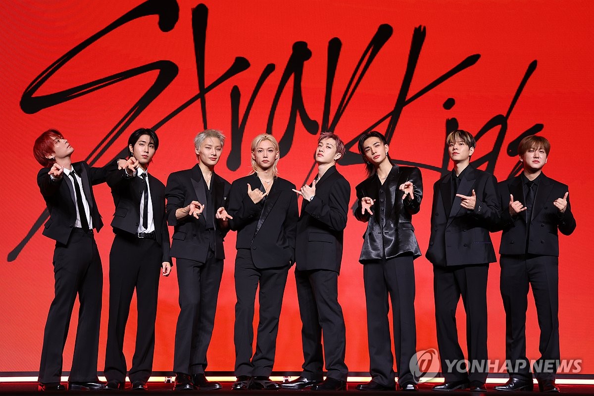 Stray Kids- the 9th member