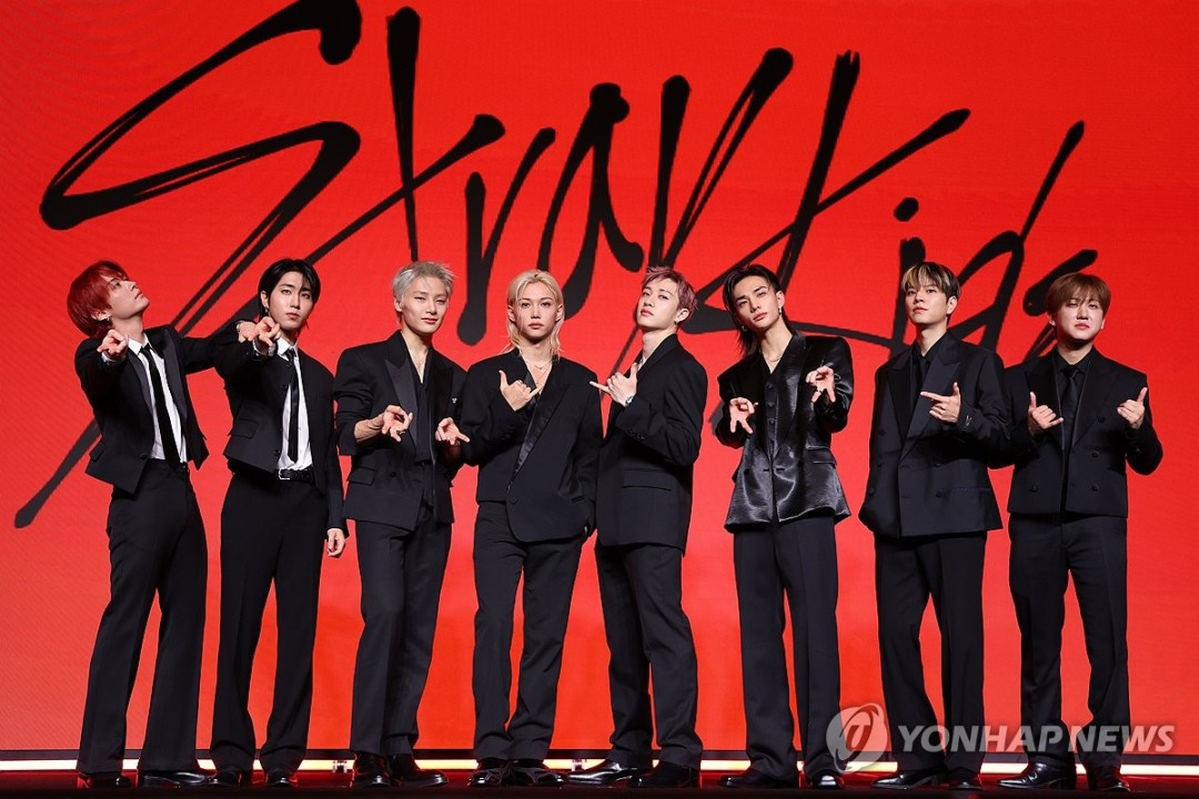 Stray Kids- the 9th member