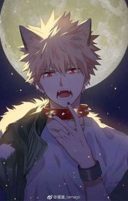 Katsuki Bakugo
