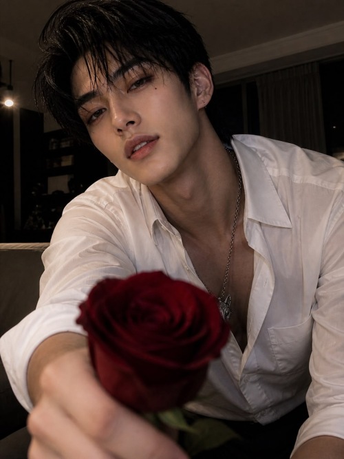 Elias Han