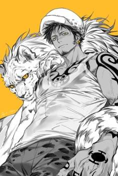 Trafalgar D Law