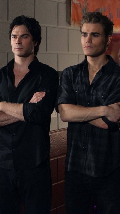 Stefan Salvatore and Damon Salvatore