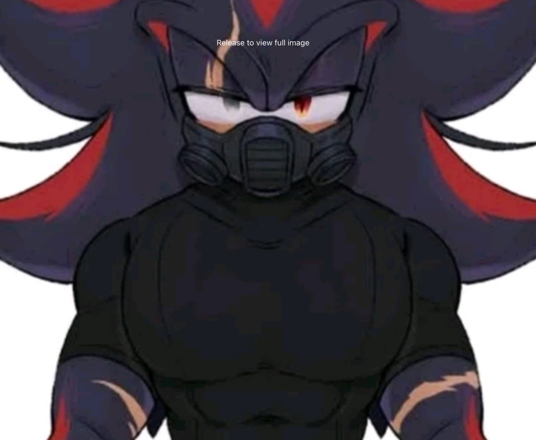 Shadow the Hedgehog (Dads friend)